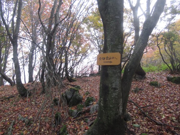 登山道